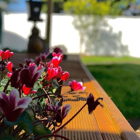 Hotel Onehunga Garden Tinyhouse With Parking Auckland Zewnętrze zdjęcie
