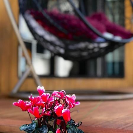 Hotel Onehunga Garden Tinyhouse With Parking Auckland Zewnętrze zdjęcie