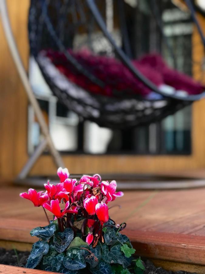 Hotel Onehunga Garden Tinyhouse With Parking Auckland Zewnętrze zdjęcie